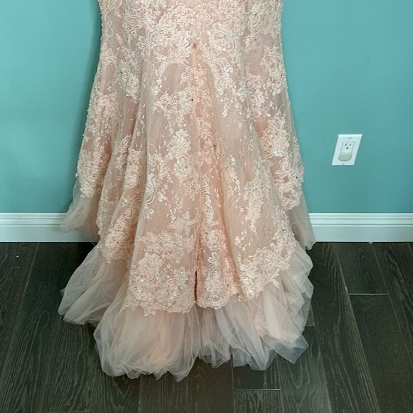 SHERRI HILL STYLE #51114 lace, tulle, embellished gown. Light pink - Picture 10 of 14